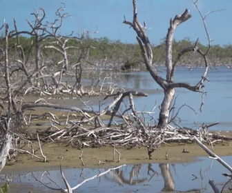 Replay C pas si loin - 16/02/2026