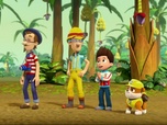 Replay Paw Patrol, la Pat'Patrouille - Le bébé éléphant