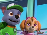 Replay Paw Patrol, la Pat'Patrouille - Le trophée de Monsieur Hellinger