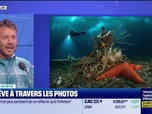 Replay Les pionniers chez Fred Mazzella - Laurent Ballesta – un artiste du monde sous-marin