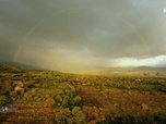 Replay Paysans du monde - Sicile : L'huile d'olive