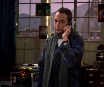 Replay The Big Bang Theory - S1E11 - Alerte aux microbes