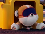 Replay Paw Patrol, la Pat'Patrouille - Cours de yoga à la montagne