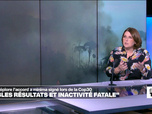 Replay Élément Terre, la quotidienne - COP30: un accord décevant, et maintenant?