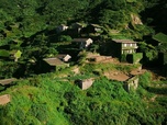 Replay Vert, comme les rizières et les plantations de théiers - Les couleurs de la Chine