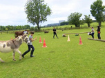 Replay Au galop ! - Quand les ânes entrent dans la course