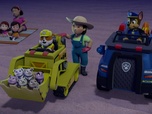 Replay Paw Patrol, la Pat'Patrouille - S02 E30 - Le feu d'artifice