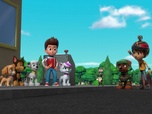Replay Paw Patrol, la Pat'Patrouille - Mission Tout-Terrain : La cascade de Boomer