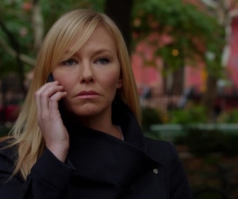 Replay New York Unité Spéciale - S19 E08 - Désirs virtuels