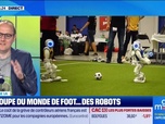 Replay Good Morning Business - Culture IA : La coupe du monde de foot... des robots, par Anthony Morel - 11/07