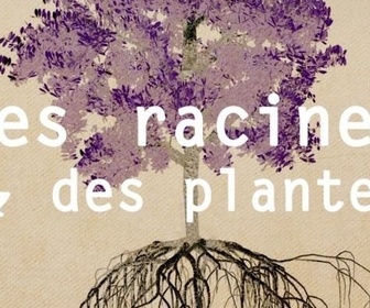 Des racines et des plantes replay
