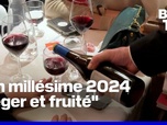 Replay ROBIN DE BFM - Beaujolais nouveau 2024: une dégustation dès minuit dans cette institution parisienne