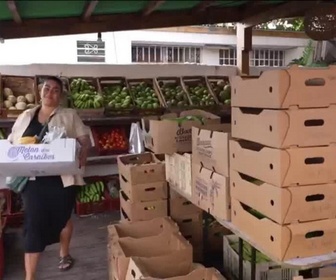 Replay Élément Terre, le reportage - En Guadeloupe, le retour de légumes et fruits anciens pour consommer local