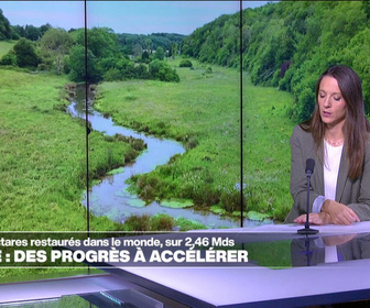 Replay Élément Terre, la quotidienne - Restauration de la nature : l'ONU appelle le monde à accélérer la cadence