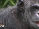 Replay Une saison au zoo - S12 E44