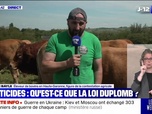 Replay Le live bfm - Crise agricole : vers un nouveau soulèvement ? - 25/05