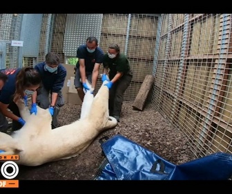 Replay Une saison au zoo - S12 E56