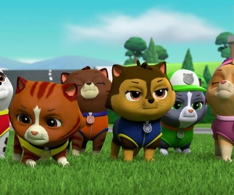 Replay Paw Patrol, la Pat'Patrouille - Le dindon volant