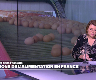 Replay Élément Terre, la quotidienne - Santé: les diverses pollutions de l'alimentation en France