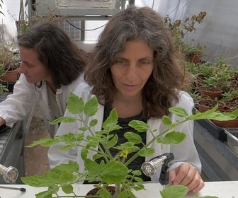 Replay Supersens - Le génie caché des plantes