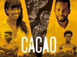Replay Cacao - Épisode 2