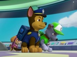 Replay Paw Patrol, la Pat'Patrouille - Le jour des élections