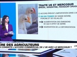 Replay Info Éco - Crise agricole : en quoi consiste l'accord entre l'UE et le Mercosur ?