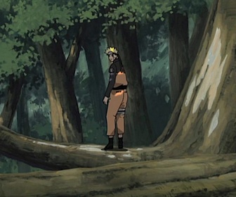 Replay Naruto Shippuden - S7 E16 - Deux élèves