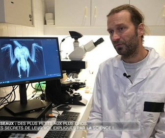 Replay e=m6 - Comment les oiseaux et les avions font-ils pour voler ?