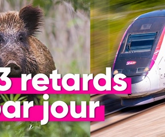 Replay Top Info - Pourquoi les retards de trains dus aux sangliers augmentent ?