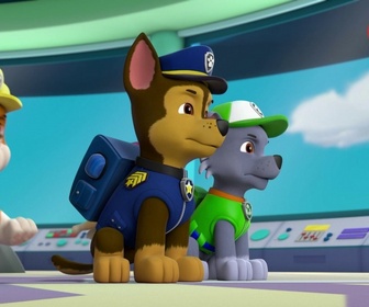 Replay Paw Patrol, la Pat'Patrouille - Le disque volant