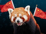 Replay Pourquoi les pandas (roux) sont-ils aussi des outils de la diplomatie chinoise ?