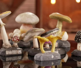 Replay Affaire conclue, tout le monde a quelque chose à vendre - 19/03/2026