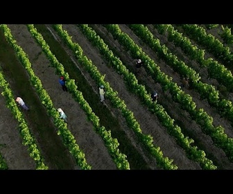 Replay Vague de chaleur en France : agriculture, écoles, trains et santé sous tension