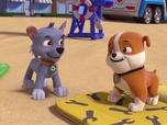 Replay Compilation Paw Patrol, la Pat'Patrouille 19