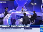 Replay Les experts du soir - Année blanche : risqué, mais payant ? - 02/07