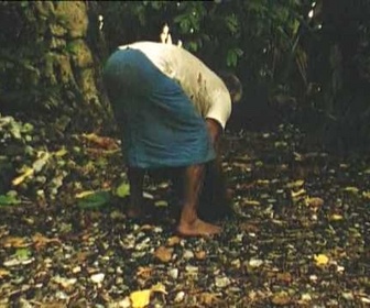 Replay Découverte du Monde - Enfants du corail