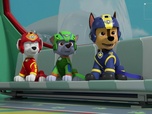 Replay Paw Patrol, la Pat'Patrouille - L'île de Bill le Grand Pélican