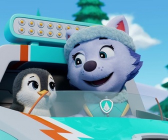 Replay Paw Patrol, la Pat'Patrouille - Le bébé manchot