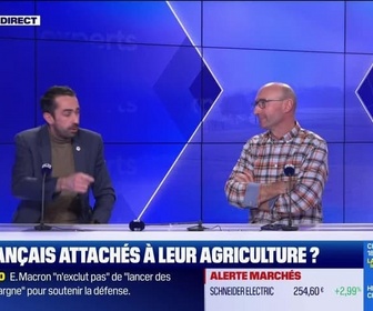 Replay Les experts du soir - Les Français attachés à leur agriculture ? - 20/02