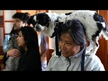 Replay Des chiens reçoivent une bénédiction à l'eau bénite lors d'une cérémonie en Bolivie