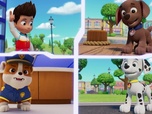 Replay Paw Patrol, la Pat'Patrouille - Mission Détectives : Marjorie a disparu