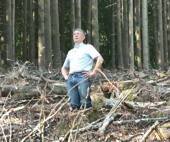 Replay Urgence climatique : un défi mondial - Les coupes rases dans les forêts françaises font débat