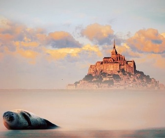 Replay Mont-Saint-Michel, la baie des merveilles - Secrets sauvages du patrimoine