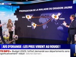 Replay Pourquoi les prix du jus d'orange augmentent? BFMTV répond à vos questions