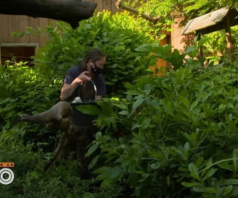 Replay Une saison au zoo - S14 E14