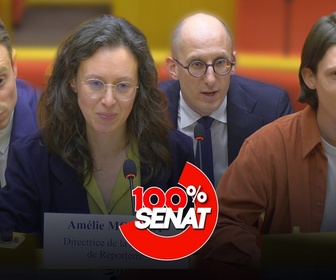 Replay 100% Sénat - Zones grises de l'information : audition de TikTok, Vakita, Vert et Reporterre