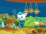 Replay Les Octonauts et les poissons grenouilles