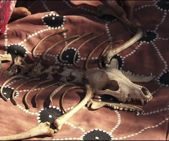 Replay Foudre - Australie, route 123