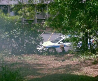 Replay Hawaii 5-0 - S3 E15 - Le crochet